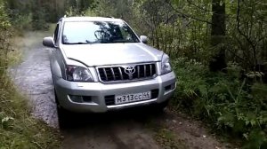 Работа Блокировки Прадо 120