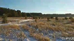 КРАСИВЫЙ СТИХ О ЖИЗНИ... ЖИВОЕ СЛОВО...