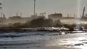 Грифоны на месторождении Каламкас