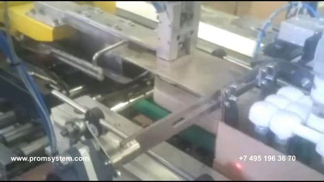 Case Packer Автоматический группиратор-укладчик творога, творожной массы, сливочного масла, сырков