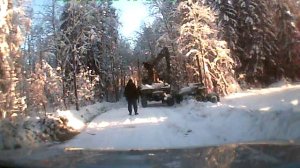 карелия очистка дорог в лесу