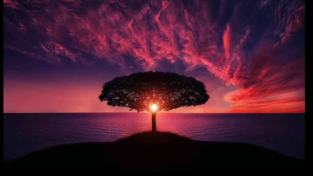 Surah 2:201 | Beautiful Recitation | Ibn Kader смотреть онлайн