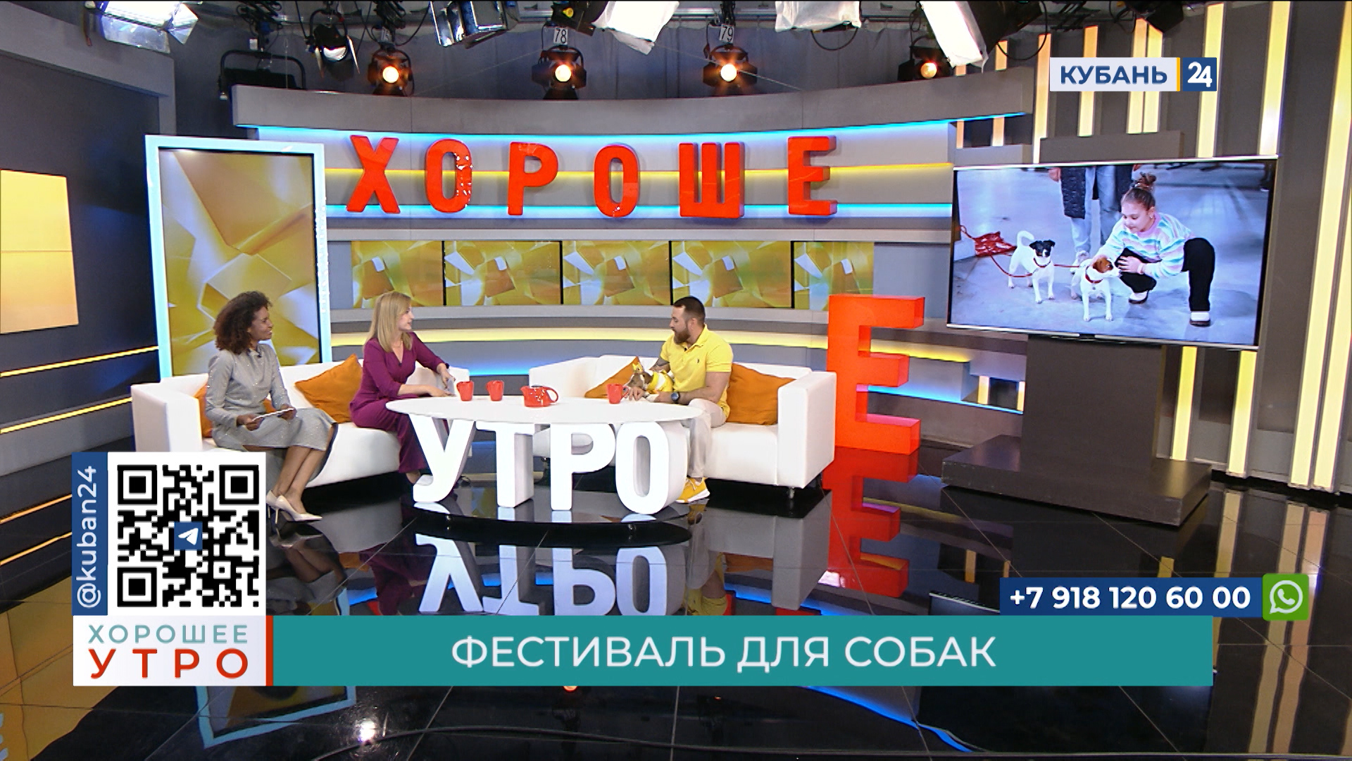 Александр Приходько: в нашей семье живет три собаки породы джек-рассел-терьер