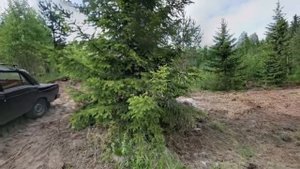 Участок в Карелии - 40 км от Петрозаводска