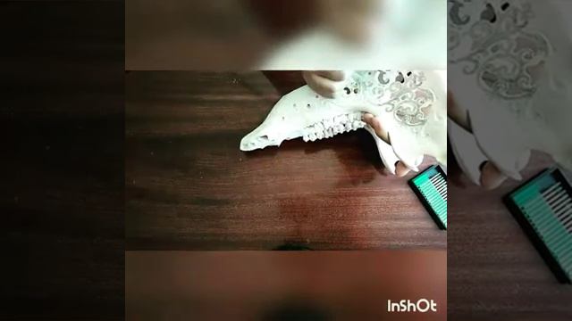 Гравировка черепа кабана. Резьба по кости. Нижняя челюсть. смотреть онлайн