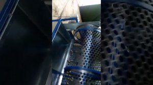 Калибратор грецкого ореха