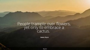 14+ Cactus Quotes