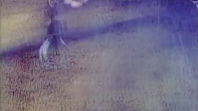 Встреча - The Meeting (Animation, KIEVNAUCHFILM, 1984, custom closed captions) смотреть онлайн