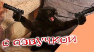 ПРИКОЛЫ С КОТАМИ! Самая смешная озвучка животных! ТЕСТ НА ПСИХИКУ 2022