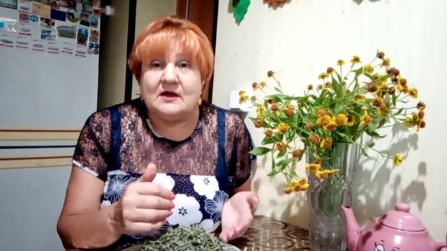 Спорыш или горец птичий. Восстанавливает организм после любой болезни.