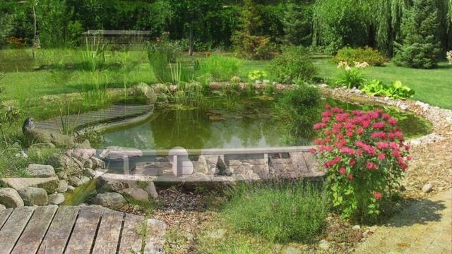 Великолепное решение дачного участка с прудиком  #ландшафтныйдизайн