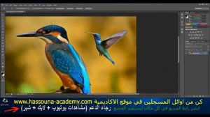 Learn Photoshop in Arabic #19 - أداة اليد hand tool والزوم zoom tool والشاشة change screen فوتوشوب