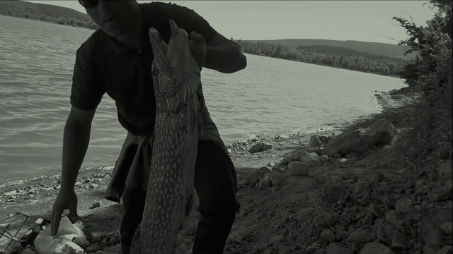 Щука 7.кг TRAILER 2018. смотреть онлайн