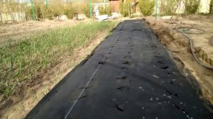 ПРАВИЛЬНАЯ ПОСАДКА КЛУБНИКИ