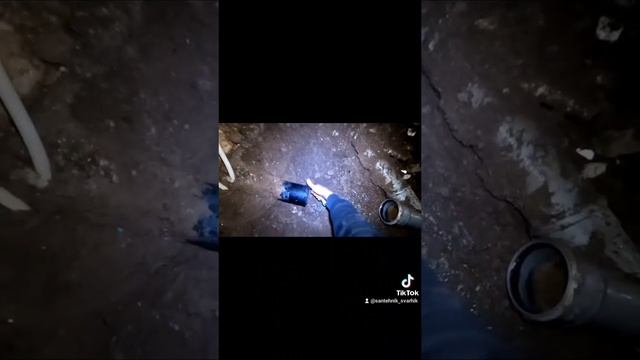 Гомно к деньгам, сантехника и жесть в подвале