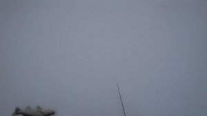 Рыбалка в конце Зимы на судака . Волга, Сюкеево