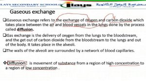 BIOLOGY FORM ONE || CH5 || LESSON TWO