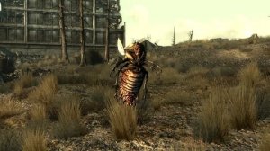 МОДЫ НА ГРАФИКУ FALLOUT 3