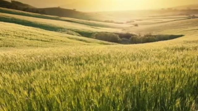 21 06 слово епископа Маседо смотреть онлайн