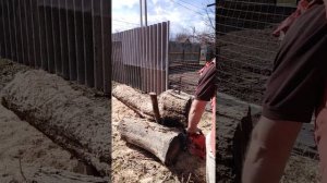 Как пилить слэбы бензопилой