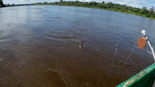 Рыбалка вокруг острова.ч2 И снова на кольцо. смотреть онлайн