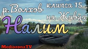 Русская Рыбалка 4 Где Клюет р.Волхов Налим 09.02.23