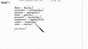 Упражнение №666 — Гдз по русскому языку 5 класс (Ладыженская) 2019 часть 2