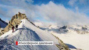 Наземно воздушная среда обитания 5 класс