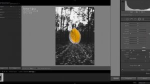 Цветное на черно-белом в Lightroom