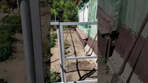 Палисадник из евроштакетника (металлического штакетника) своими руками