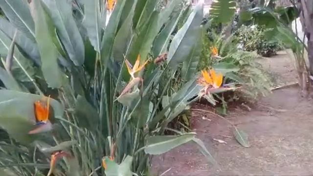 Как получить позитивную энергию❤️Italy смотреть онлайн