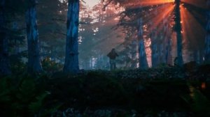 stalker-Фанатский клип 2022