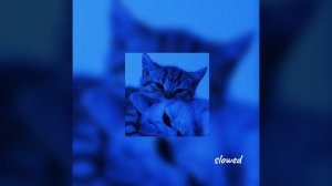 Диана Гурцкая - нежная | slowed