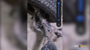 Как проверить балку на геометрию