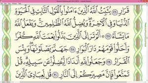 Шейх Айман Сувейд сура Ибрахим стр 259