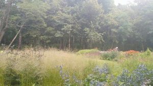 Музей и парк Voorlinden. Сад Пита Удольфа. Часть 3.