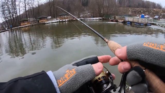 МИСАЙЛОВО TROUT.  26 ноября.  Очень трудовая рыбалка