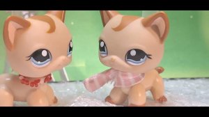 lps Сериал Близнецы Конец