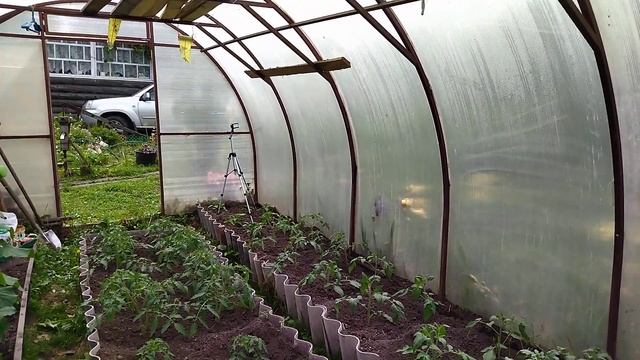 Как вырастить перцы, огурцы и помидоры в одной теплице смотреть онлайн