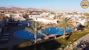 ЧТО ПРОИЗОШЛО НА МОРЕ в ЕГИПТЕ С ЖЕЛЕЙНЫМ МЕДВЕДЕМ ВАЛЕРОЙ