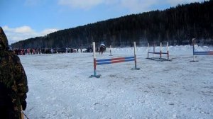 Конные соревнования село Спасо-Барда.