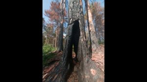 Бердские скалы.mp4