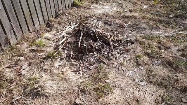 ПЕРВЫЙ ОБЗОР УЧАСТКА... / ПЛАНЫ НА СЕЗОН/ КУПИЛА ДОМ В ДЕРЕВНЕ/ ЖИЗНЬ ХОРОША/ 08.04.2023г. смотреть онлайн