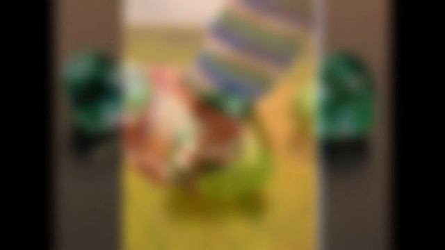 А вы знаете , что такое настоящая дружба ? смотреть онлайн