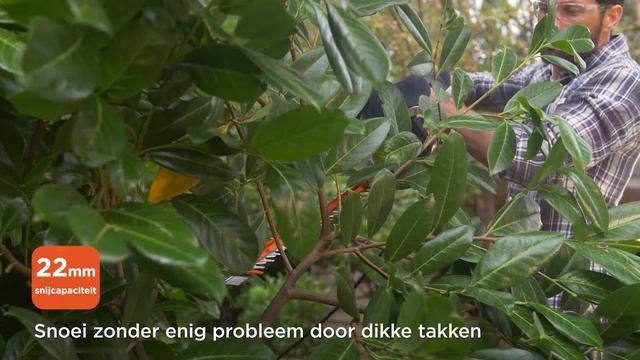 BLACK+DECKER™ Heggenschaar 55cm - 500W смотреть онлайн