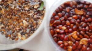 ⚗ Агрономия и АСД-2Ф. Новые открытия (2) 20.01.2019.