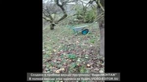 Агроволокно от сорняков