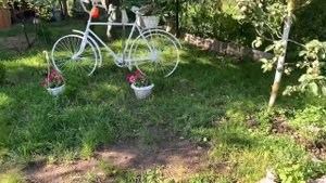 ГРИБЫ НА УЧАСТКЕ КАК ИЗБАВИТЬСЯ #грибы #газон #дача #верандацветысадогород