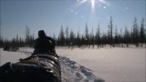 Новогодние песни для детей и взрослых 2019