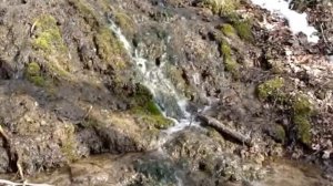 Бёхово (не далеко от Поленово). Святой источник и водопад.